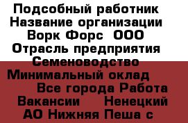 Подсобный работник › Название организации ­ Ворк Форс, ООО › Отрасль предприятия ­ Семеноводство › Минимальный оклад ­ 30 000 - Все города Работа » Вакансии   . Ненецкий АО,Нижняя Пеша с.